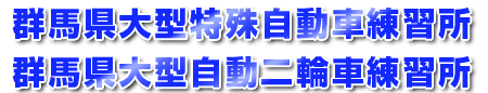 �Q�n����^���ꎩ���ԗ��K���E�Q�n����^������֎ԗ��K��