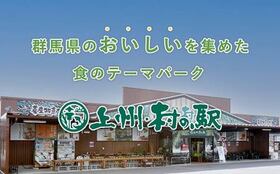 上州・村の駅
